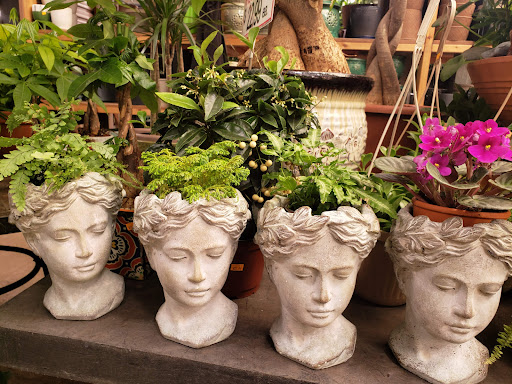 Florist «Metropolitan Plant & Flower Exchange Inc.», reviews and photos, 2125 Fletcher Ave, Fort Lee, NJ 07024, USA