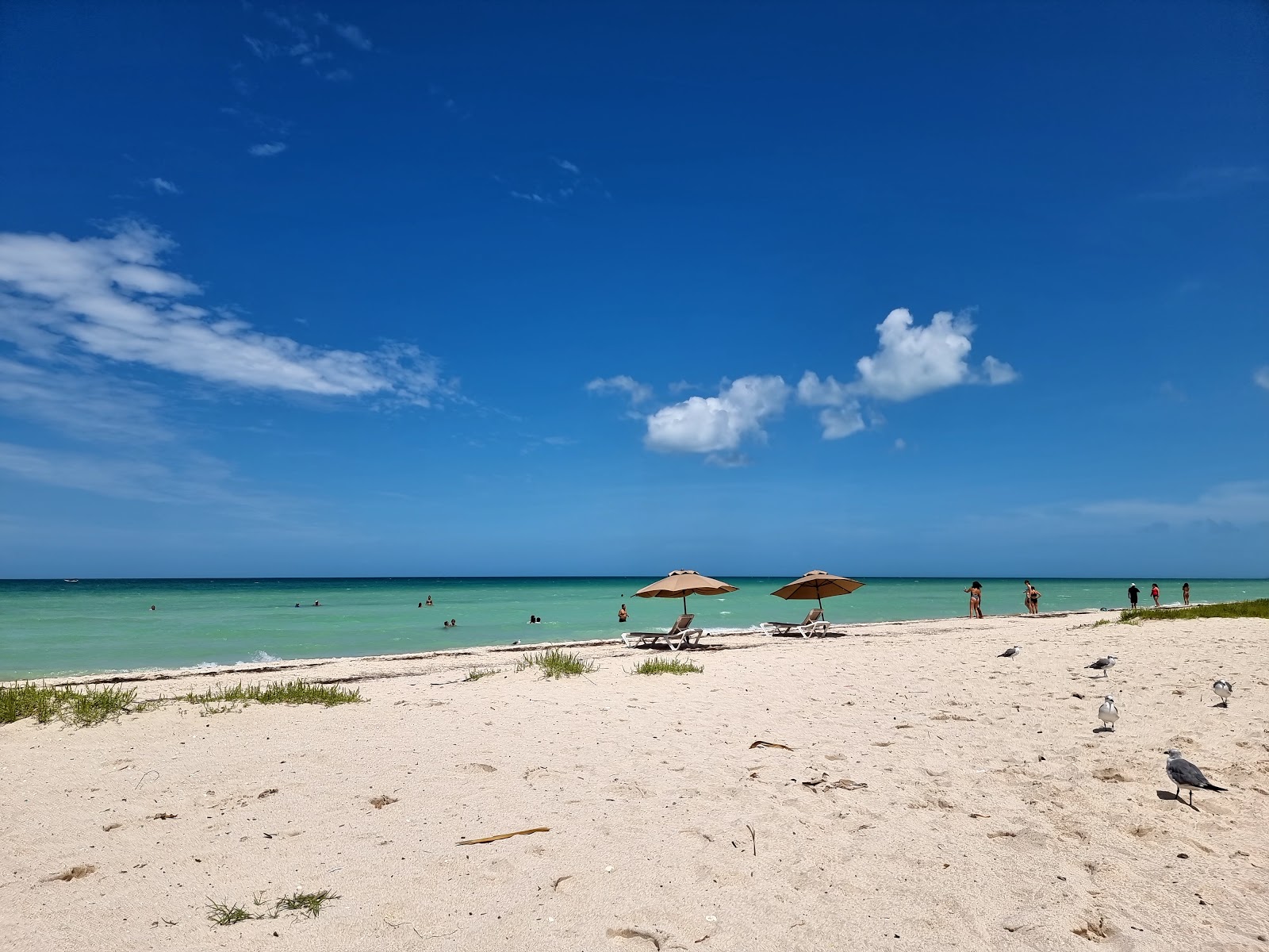 Foto von Cancunito beach mit heller sand Oberfläche