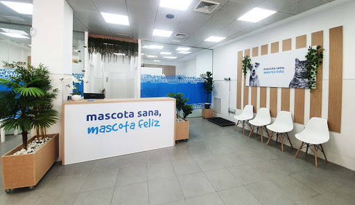 Clínica Veterinaria Ávila San Fernando en San Fernando