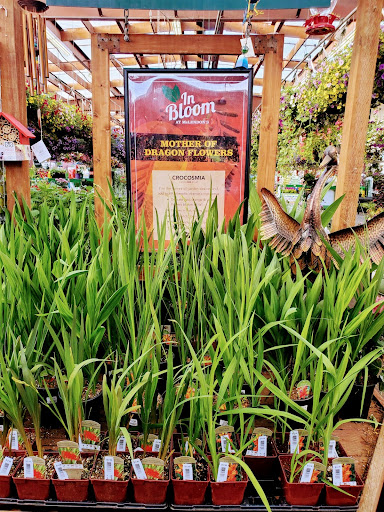 Hardware Store «McLendon Hardware», reviews and photos, 1111 Fryar Ave, Sumner, WA 98390, USA