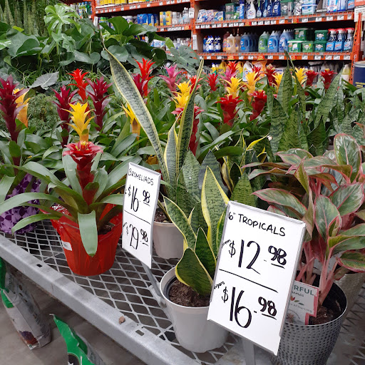 Home Improvement Store «The Home Depot», reviews and photos, 4200 Derry St, Swatara, PA 17111, USA