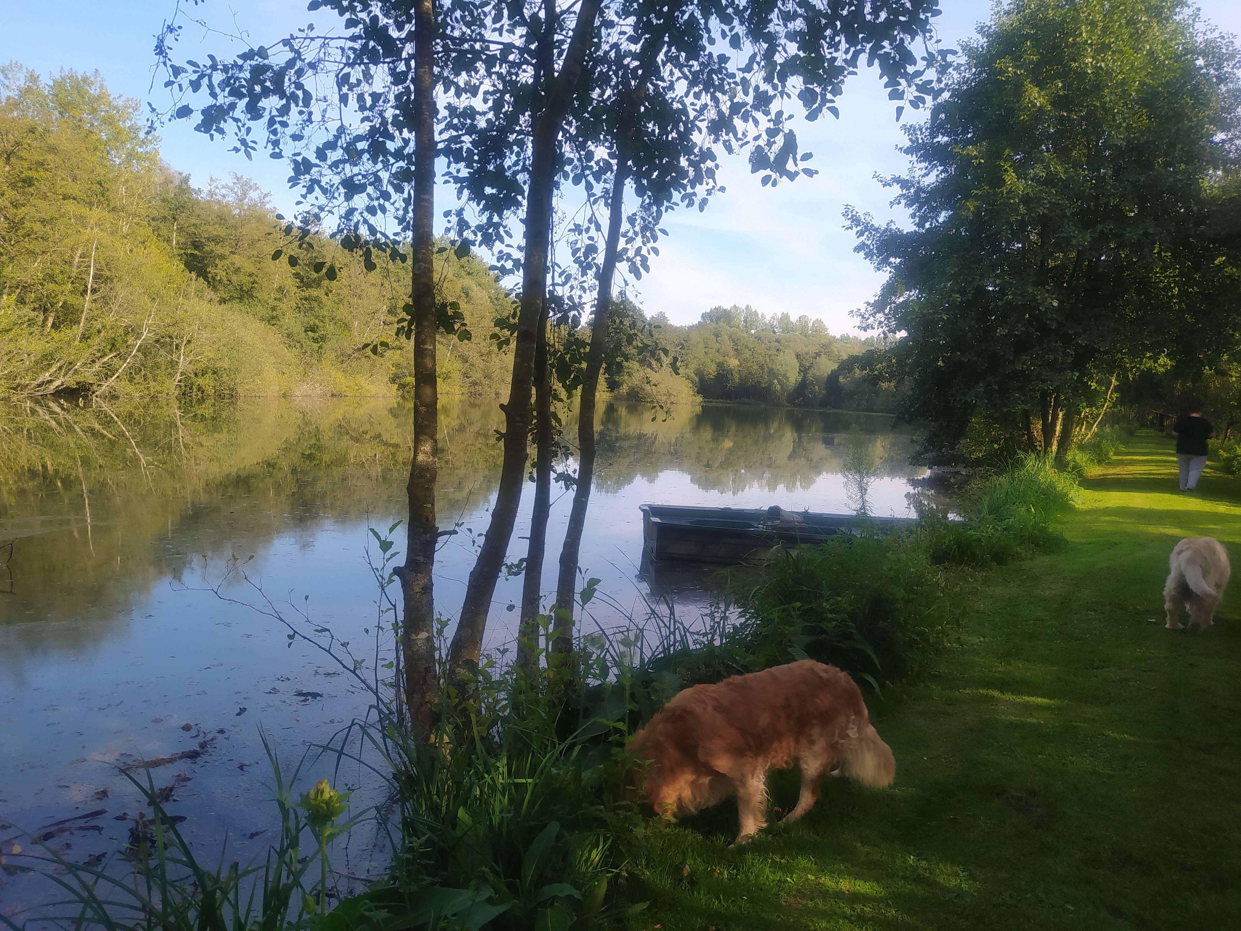 Photo n° 3 de l'avis de Bubulle.l fait le 22/09/2021 à 18:14