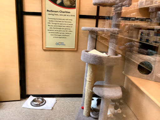 Pet Supply Store «PetSmart», reviews and photos, 1038 Crossings Blvd, Spring Hill, TN 37174, USA