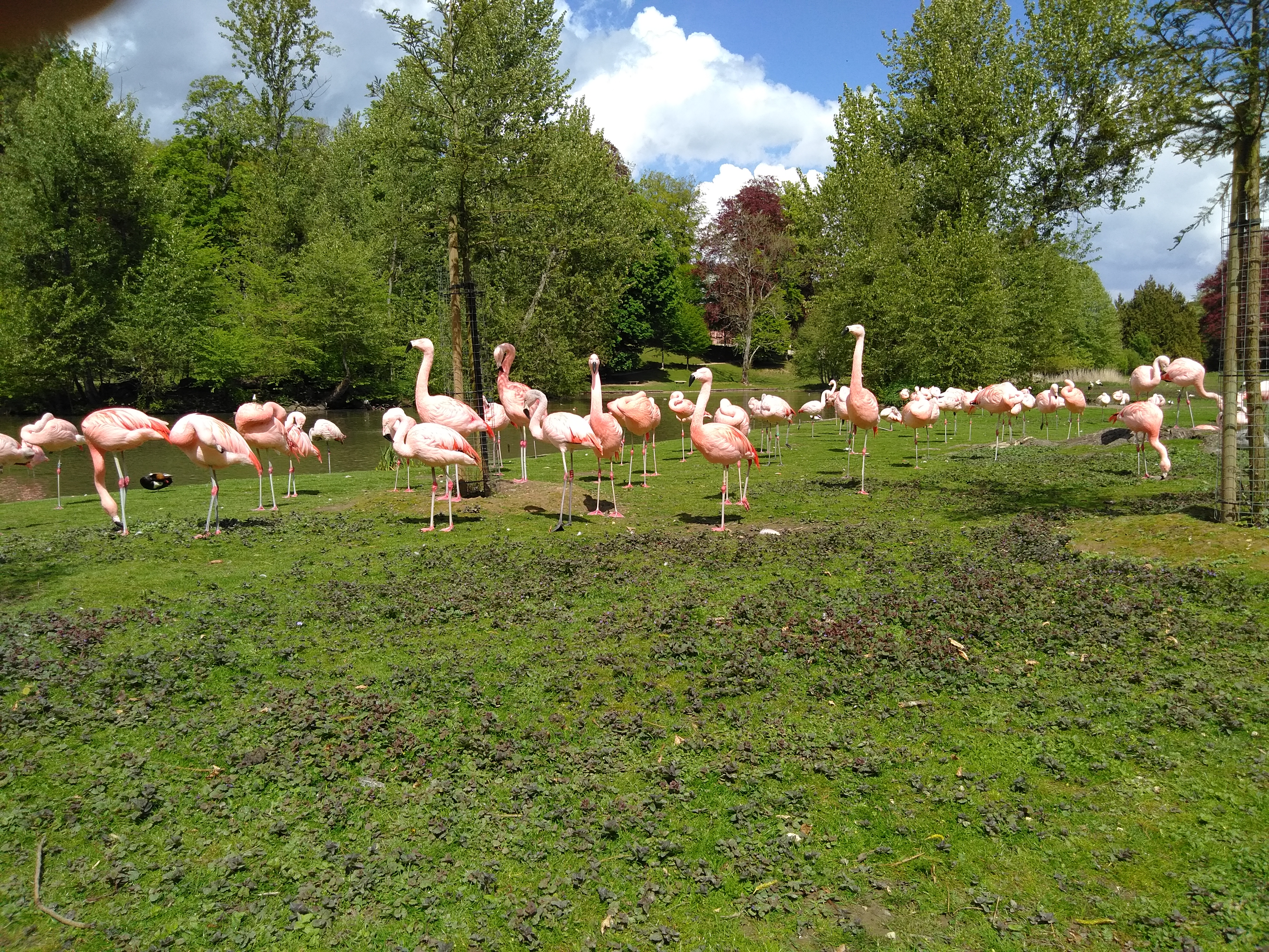 Photo n° 17 de l'avis de Francois.u fait le 08/05/2019 à 16:10