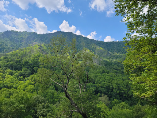 National Park «Great Smoky Mountains National Park», reviews and photos