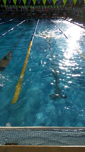 Gregory Seahurst Swim Club - photo 3
