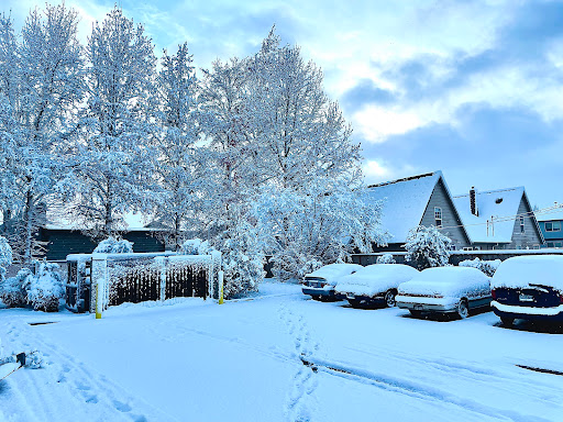 Office Supply Store «Staples», reviews and photos, 2000 Santiam Hwy SE, Albany, OR 97322, USA