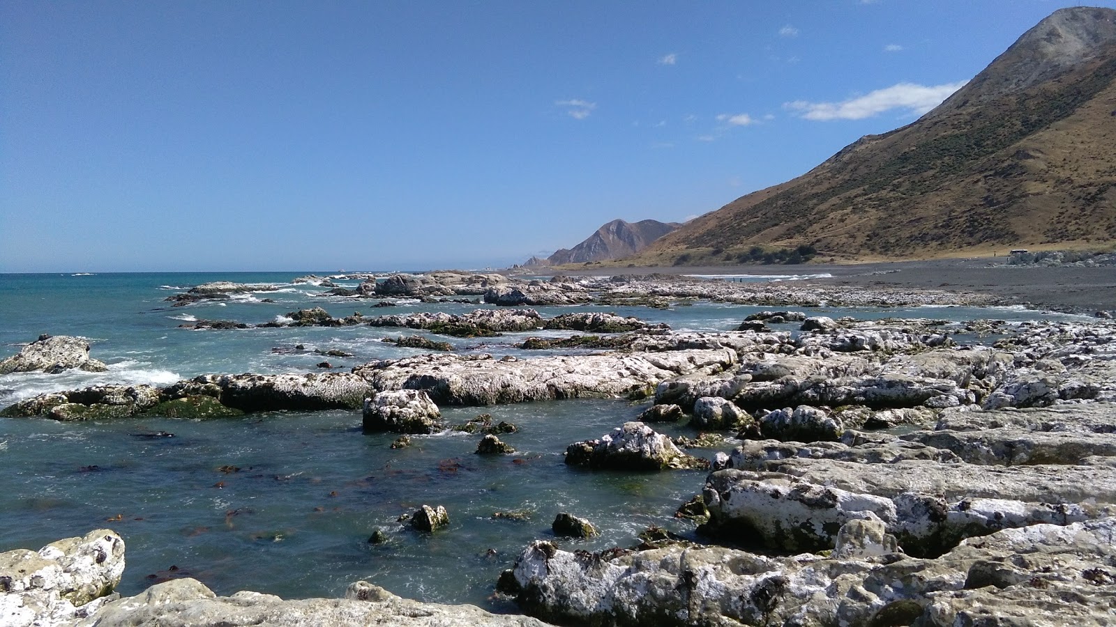 Ward Beach'in fotoğrafı vahşi alan