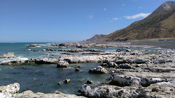Ward Beach'in fotoğrafı vahşi alan