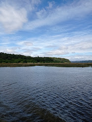 Santuario de la Naturaleza -Río Cruces.