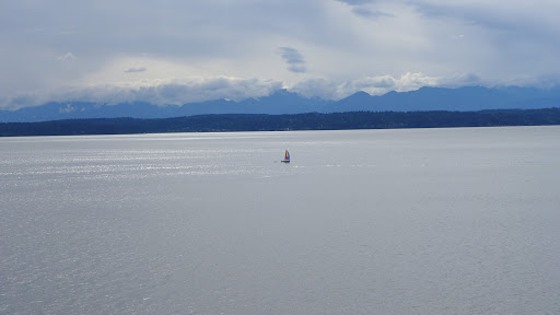 Park «Schmitz Preserve Park», reviews and photos, 5551 SW Admiral Way, Seattle, WA 98116, USA