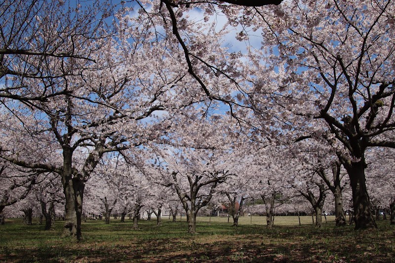 平滝沼公園