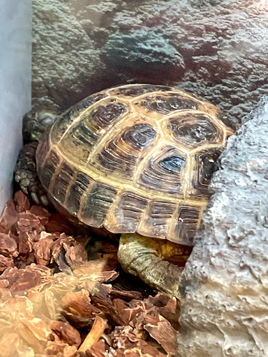 Pet Supply Store «Petco Animal Supplies», reviews and photos, 825 Hartford Turnpike, Waterford, CT 06385, USA