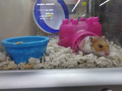 Pet Supply Store «Pet Supplies Plus», reviews and photos, 120 Sara Way, Belle Vernon, PA 15012, USA