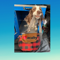 Gallen Insurance - Photo 7 - Car repair in Shillington, PA, Reading