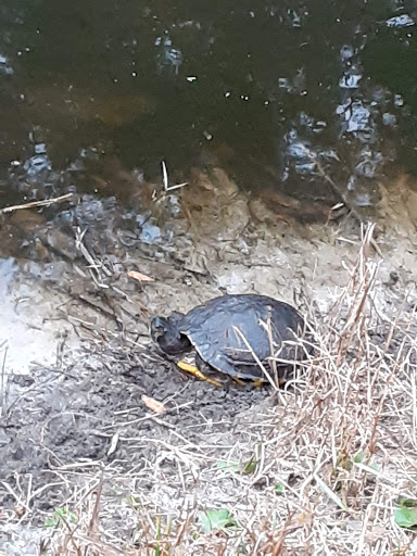 Sporting Goods Store «Causeway Sporting Goods», reviews and photos, 2233 Greenville Rd NE, Cortland, OH 44410, USA