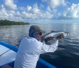 Cancun Fly Fishing photo