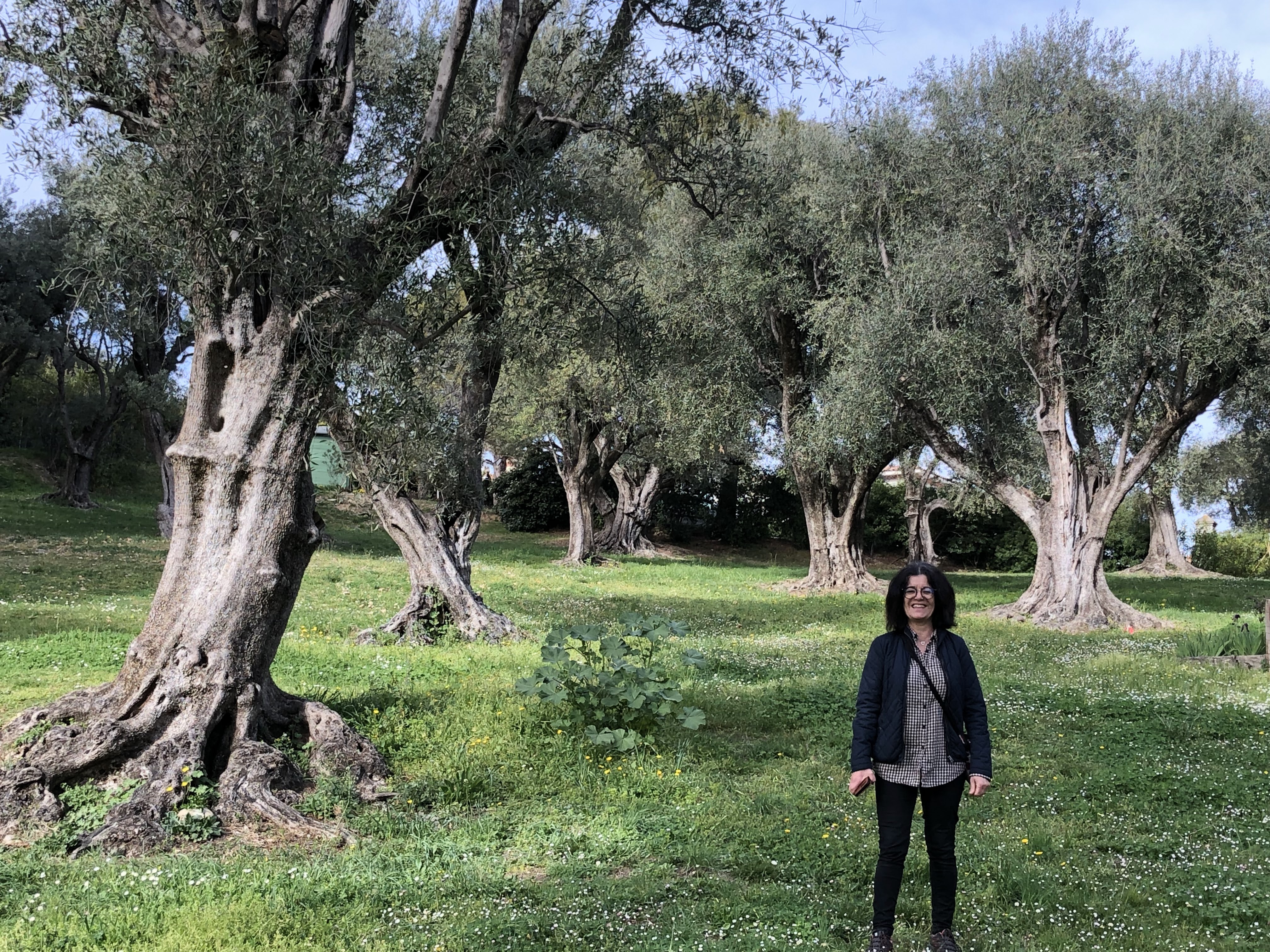 Photo n° 2 de l'avis de Denis.u fait le 25/04/2019 à 10:20