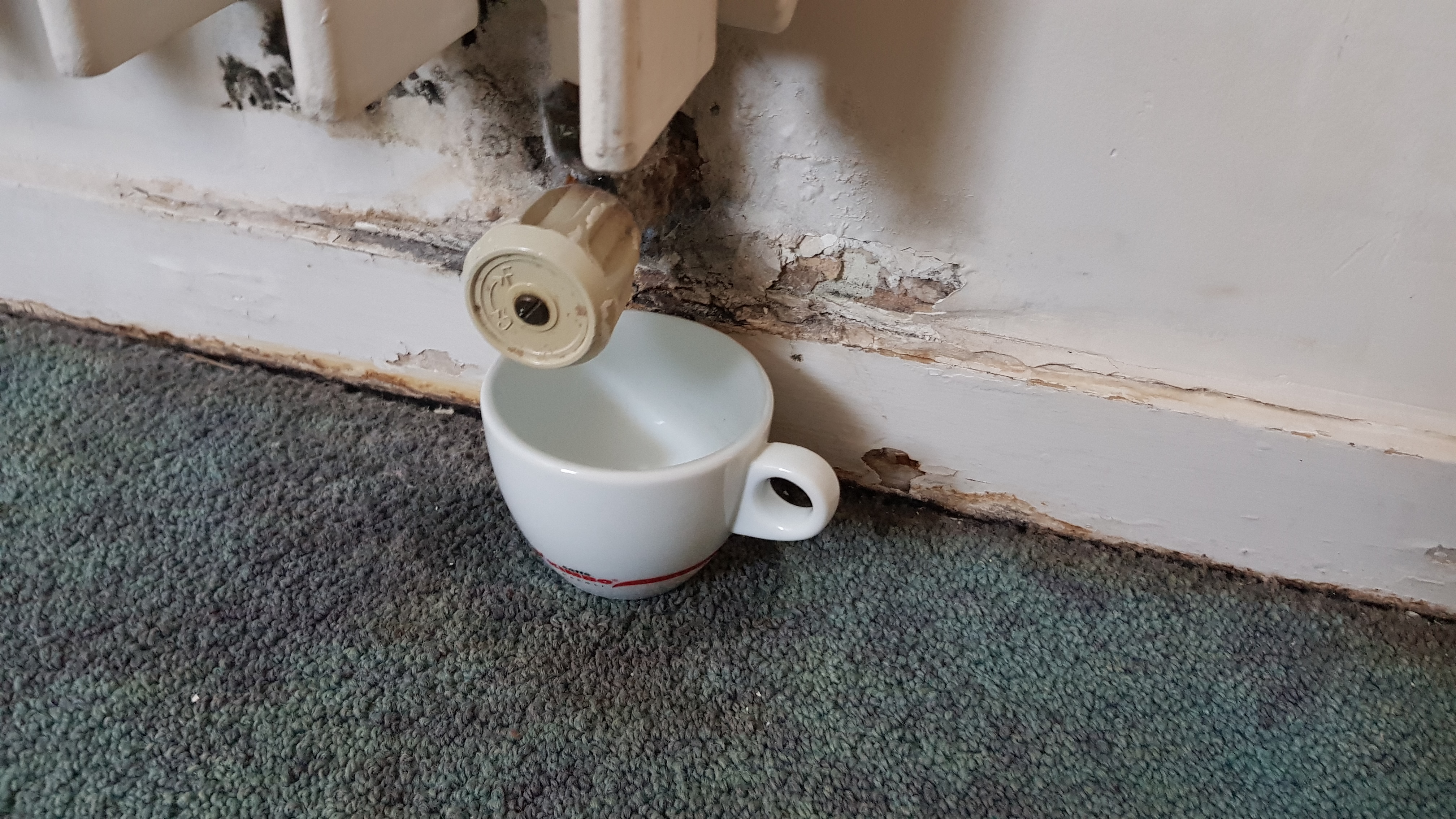 Photo n° 4 de l'avis de Aurelie.o fait le 28/05/2019 à 07:37