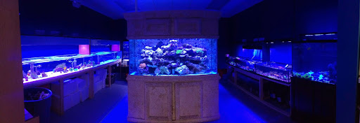 Tropical Fish Store «Blue Seas Aquariums», reviews and photos, 2750 N University Dr, Sunrise, FL 33322, USA