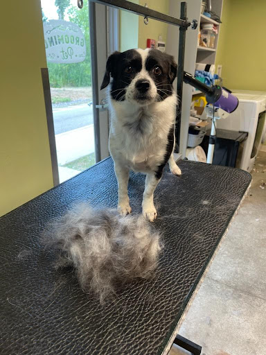 60 Beaver Rd, Wethersfield, CT 06109, USA