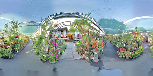 Hardware Store «Downtown Walnut Creek Ace Hardware», reviews and photos, 2044 Mt Diablo Blvd, Walnut Creek, CA 94596, USA