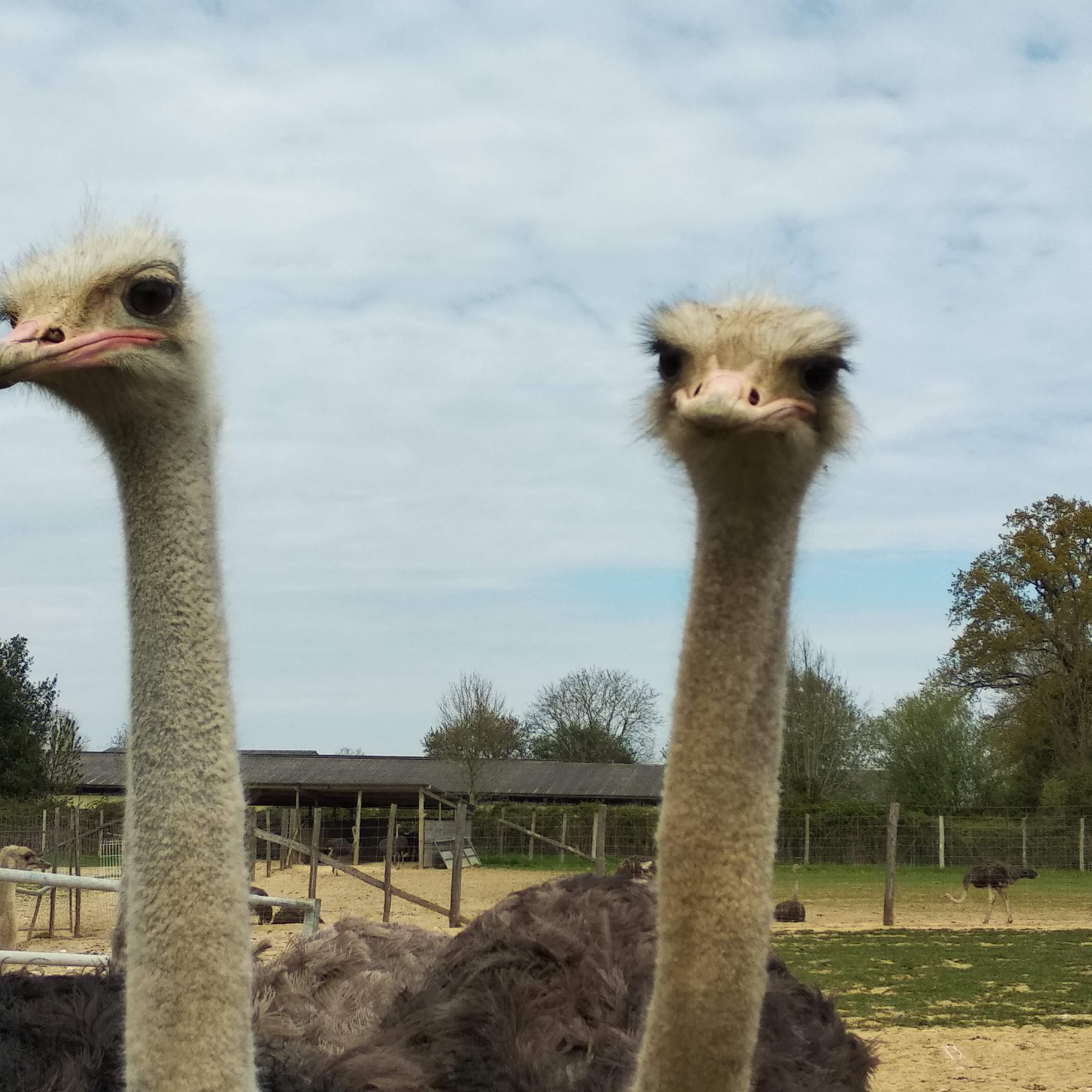 Photo n° 4 de l'avis de Corinne.r fait le 20/04/2019 à 14:41