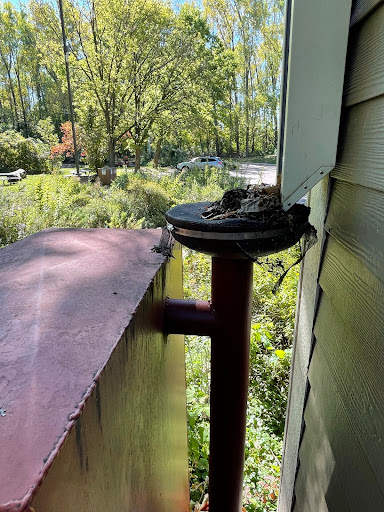 Nature Preserve «Maplewood Nature Center», reviews and photos, 2659 E 7th St, St Paul, MN 55119, USA