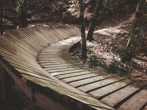 Park «Alafia River State Park», reviews and photos, 14326 S County Rd 39, Lithia, FL 33547, USA