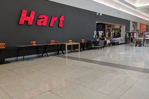 Hart image