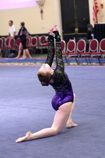 Gymnastics Center «Golden City Gymnastics», reviews and photos, 930 Lithia Pinecrest Rd, Brandon, FL 33511, USA