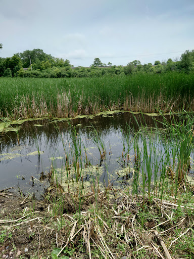 Park «Tony Schmidt Regional Park», reviews and photos, 3500 Lake Johanna Blvd, Arden Hills, MN 55112, USA