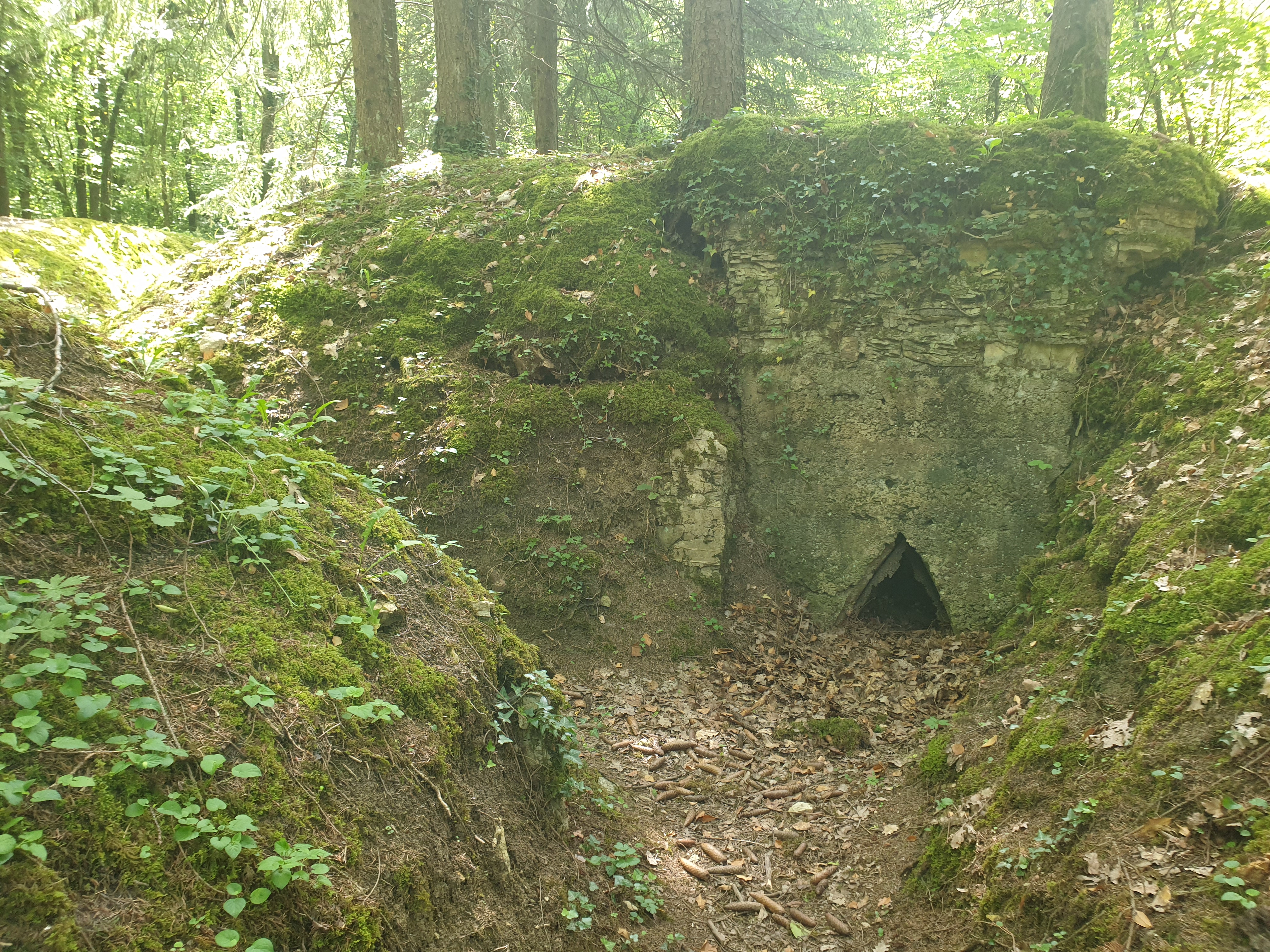 Photo n° 2 de l'avis de Enzo.N fait le 18/06/2019 à 13:55