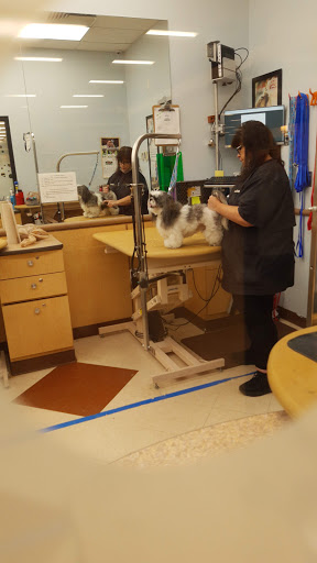 Pet Supply Store «PetSmart», reviews and photos, 4300 E Alameda Ave, Glendale, CO 80246, USA