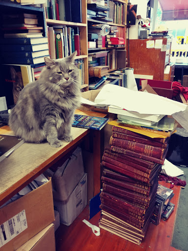 Recycle Bookstore image