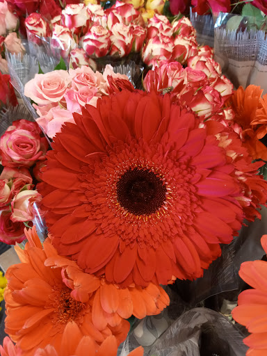 Shopping Mall «The Shops at Lincoln Heights», reviews and photos, 999 E Basse Rd, San Antonio, TX 78209, USA