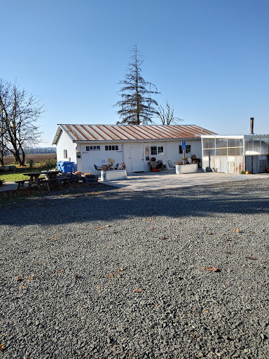 Bakery «Camas Country Bakery and Store», reviews and photos, 91948 Purkerson Rd, Junction City, OR 97448, USA