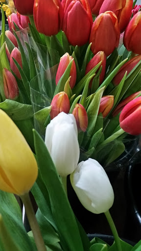 Florist «Neilsen Florists», reviews and photos, 309 S Cloverdale St C7, Seattle, WA 98108, USA