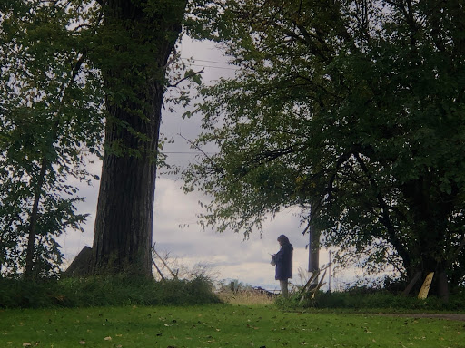 Tourist Attraction «Secrest 1883 Octagonal Barn», reviews and photos, 5750 Osage St SE, West Liberty, IA 52776, USA