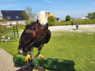 De Roofvogelboerderij