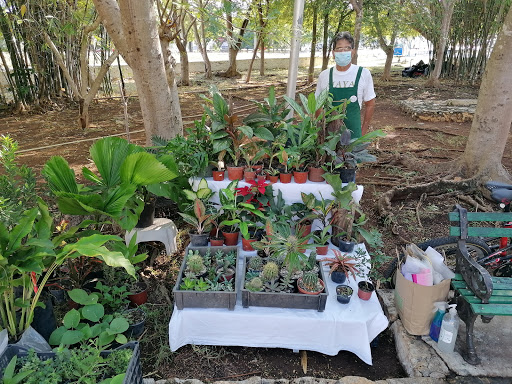 Slow Food Mérida Norte