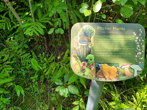 Nature Preserve «Volo Bog», reviews and photos, 28478 W Brandenburg Rd, Ingleside, IL 60041, USA