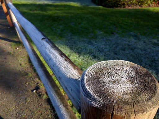 Park «Zumdieck Park», reviews and photos, 1500 108th Ave NE, Bellevue, WA 98004, USA