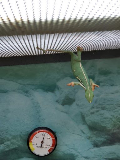 Pet Supply Store «Petco Animal Supplies», reviews and photos, 4012 W 27th Ave, Kennewick, WA 99337, USA