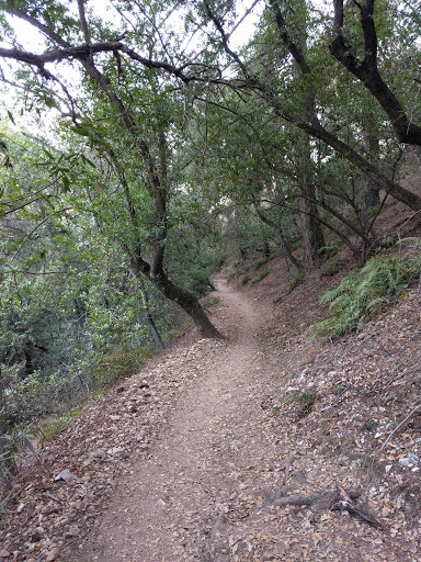 Mount Wilson Trail Park image