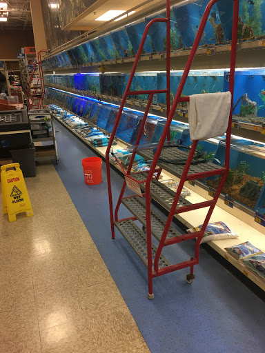 Pet Supply Store «PetSmart», reviews and photos, 6204 W Park Blvd, Plano, TX 75093, USA