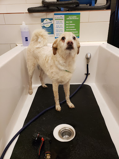 Pet Supply Store «Pet Evolution - Pet Food | Dog Wash | Grooming», reviews and photos, 429 Commerce Dr, Woodbury, MN 55125, USA