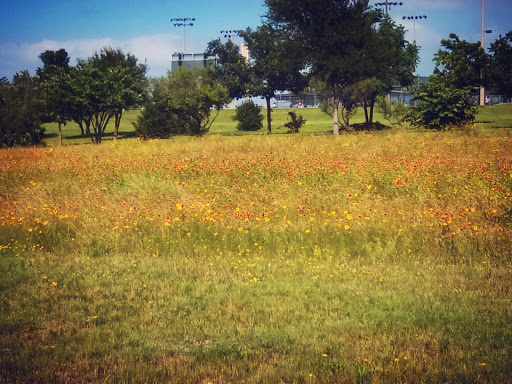 Nature Preserve «Oak Cliff Nature Preserve», reviews and photos, 2875 Pierce Street, Dallas, TX 75233, USA