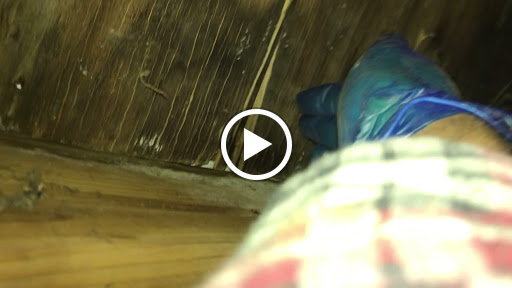 Roofing Contractor «Mr. Roof of Grand Rapids», reviews and photos