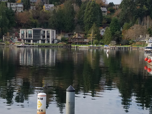 Park «Clyde Beach Park», reviews and photos, 2 92nd Ave NE, Bellevue, WA 98004, USA